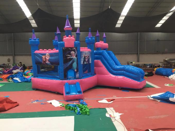 Attractive Bounce House Wet Or Dry Combo / High Durability Frozen Blow Up Castle