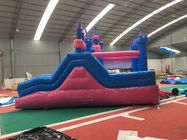 Attractive Bounce House Wet Or Dry Combo / High Durability Frozen Blow Up Castle