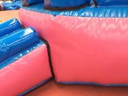 Safety Soft Princess Commercial Bounce House Slide Combo Customized Color
