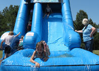 Dolphin 16 Foot Water Park Inflatable Pool Slide / Air Water Slide Pool