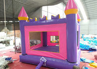 Birthday Adult Size Bounce House / Outdoor Commercial Inflatable Bouncers