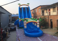 Coconut Tree Inflatable Double Water Slide With Splash Pool SGS Certificate