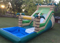 Outdoor Summer Cool Inflatable Water Slide And Pool 9Mx 3M X 5M Easy Installation
