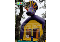 Triceratops  Jumper Bounce House / Commercial Jumping Castle Waterproof
